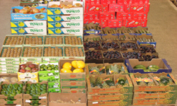 садівництво каталог польських компаній землеробство тваринництво сільгосптехніка лісівництво насіння