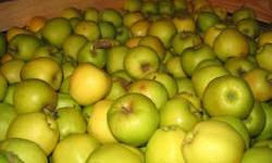 садівництво каталог польських компаній землеробство тваринництво сільгосптехніка лісівництво насіння