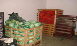 садівництво каталог польських компаній землеробство тваринництво сільгосптехніка лісівництво насіння