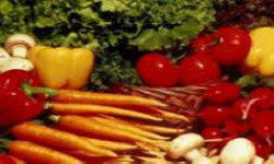 садівництво каталог польських компаній землеробство тваринництво сільгосптехніка лісівництво насіння