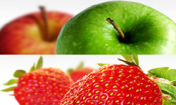 садівництво каталог польських компаній землеробство тваринництво сільгосптехніка лісівництво насіння