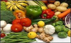 садівництво каталог польських компаній землеробство тваринництво сільгосптехніка лісівництво насіння